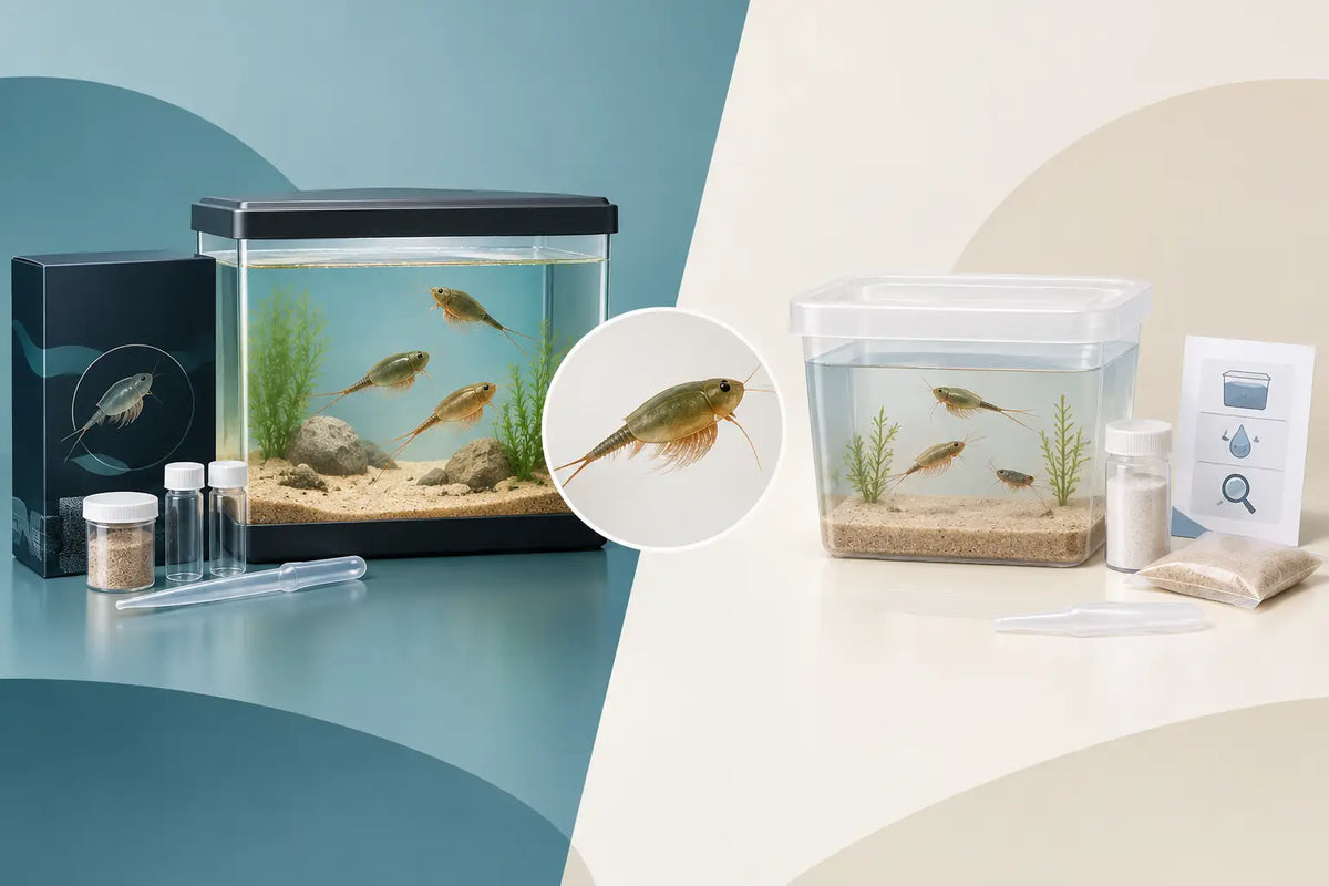 Triops Premiumset versus Experimentierkasten
