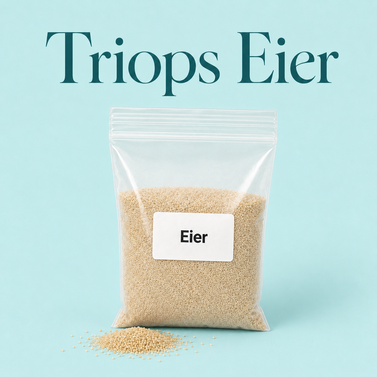 Triops Eier